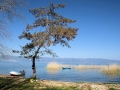 Lake Ohrid