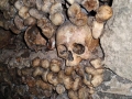 Catacombes de Paris