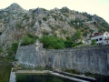 Kotor