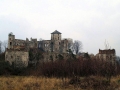 Castle in Tenczyn