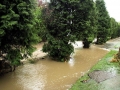 Bładnica river (flooded sidewalk)
