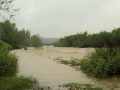 Vistula river