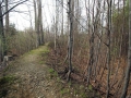 Piekiełko – the rampart around the old dwelling of Gołęszyce